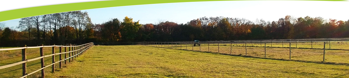 Pferdekoppel auf dem Schachtelberghof