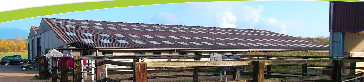 Reithalle und Außenpaddock