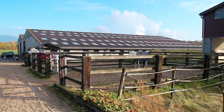 Reithalle und Außenpaddock