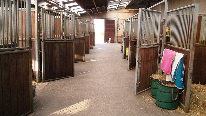 Stallgasse mit Boxen